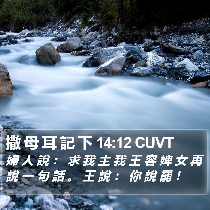 撒 母 耳 記 下 14:12 CUVT Bible Study