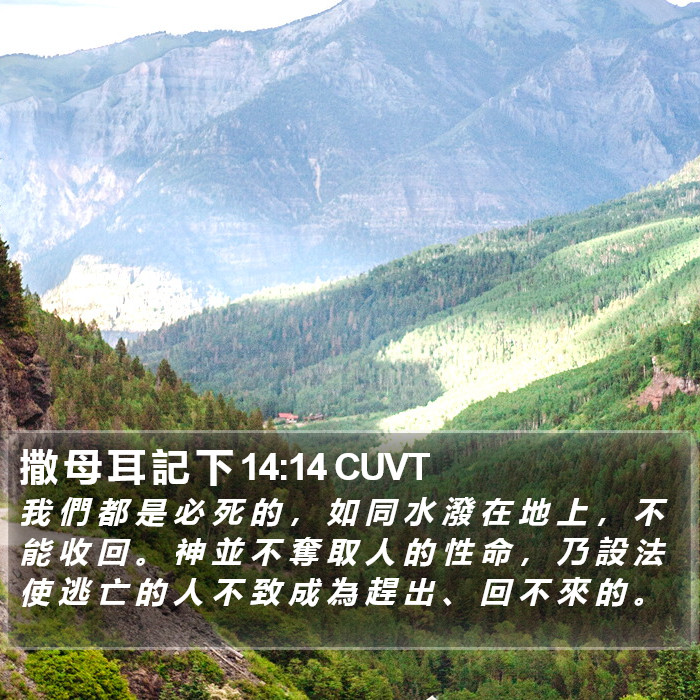 撒 母 耳 記 下 14:14 CUVT Bible Study