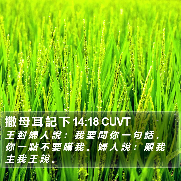 撒 母 耳 記 下 14:18 CUVT Bible Study