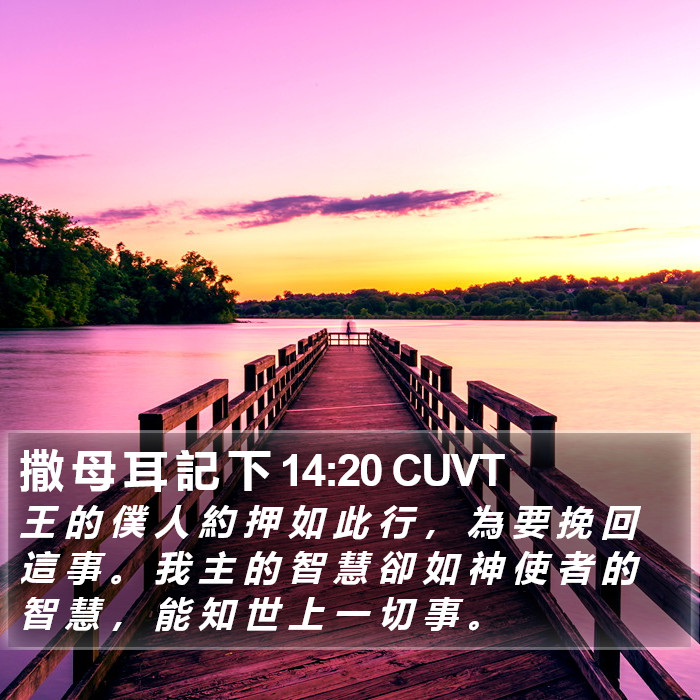 撒 母 耳 記 下 14:20 CUVT Bible Study