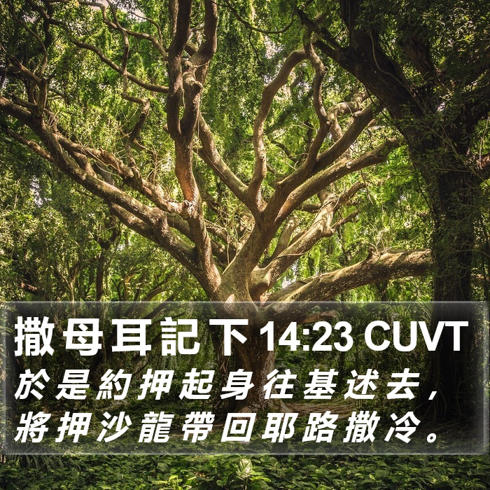 撒 母 耳 記 下 14:23 CUVT Bible Study