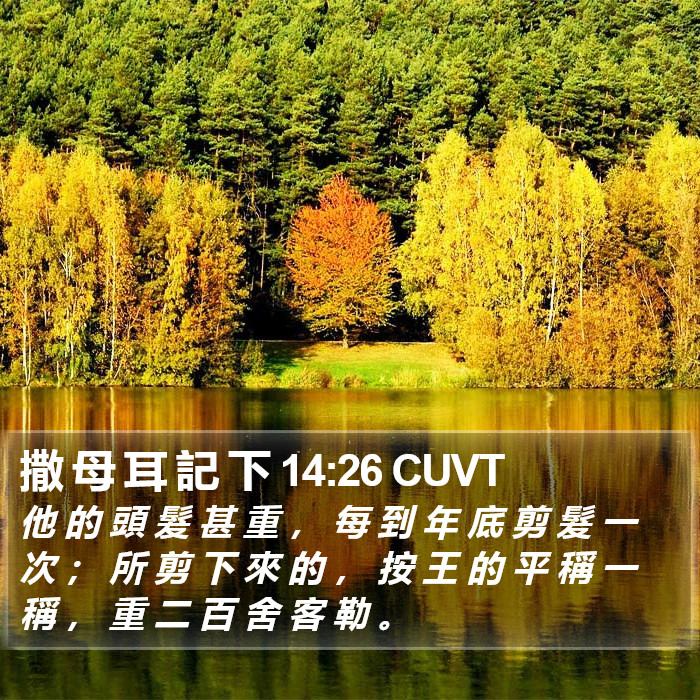 撒 母 耳 記 下 14:26 CUVT Bible Study