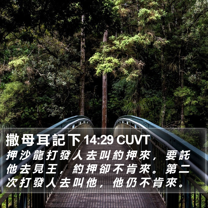 撒 母 耳 記 下 14:29 CUVT Bible Study