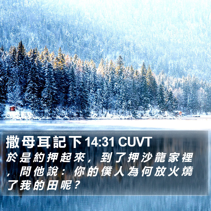 撒 母 耳 記 下 14:31 CUVT Bible Study