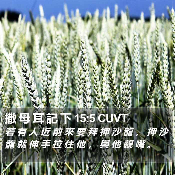 撒 母 耳 記 下 15:5 CUVT Bible Study