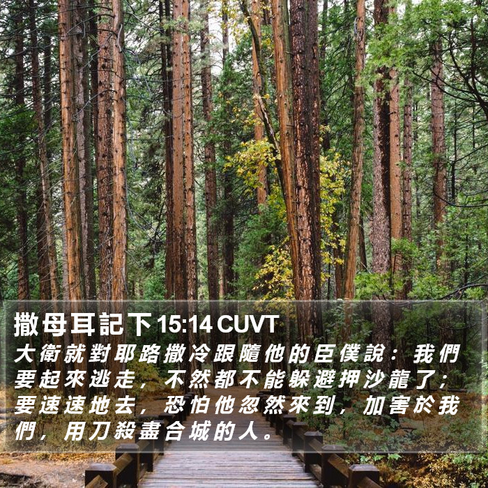 撒 母 耳 記 下 15:14 CUVT Bible Study