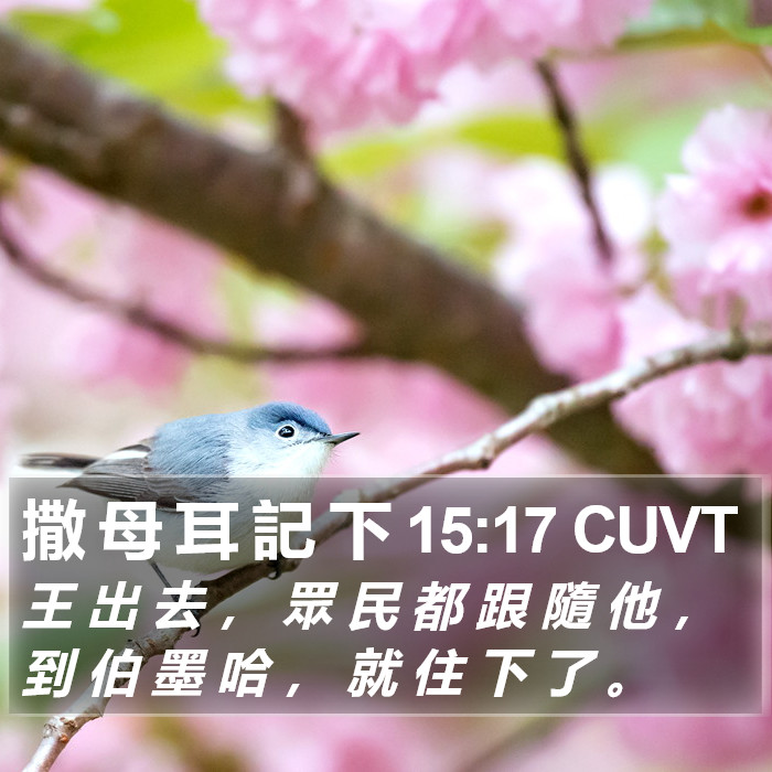 撒 母 耳 記 下 15:17 CUVT Bible Study