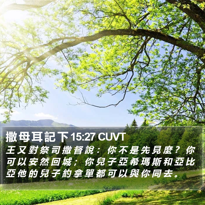 撒 母 耳 記 下 15:27 CUVT Bible Study