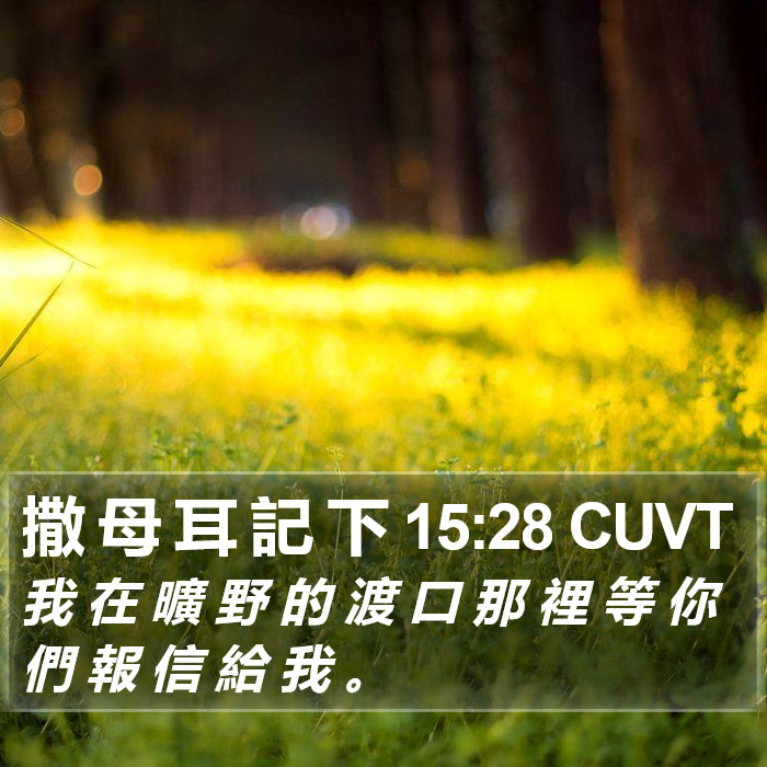 撒 母 耳 記 下 15:28 CUVT Bible Study