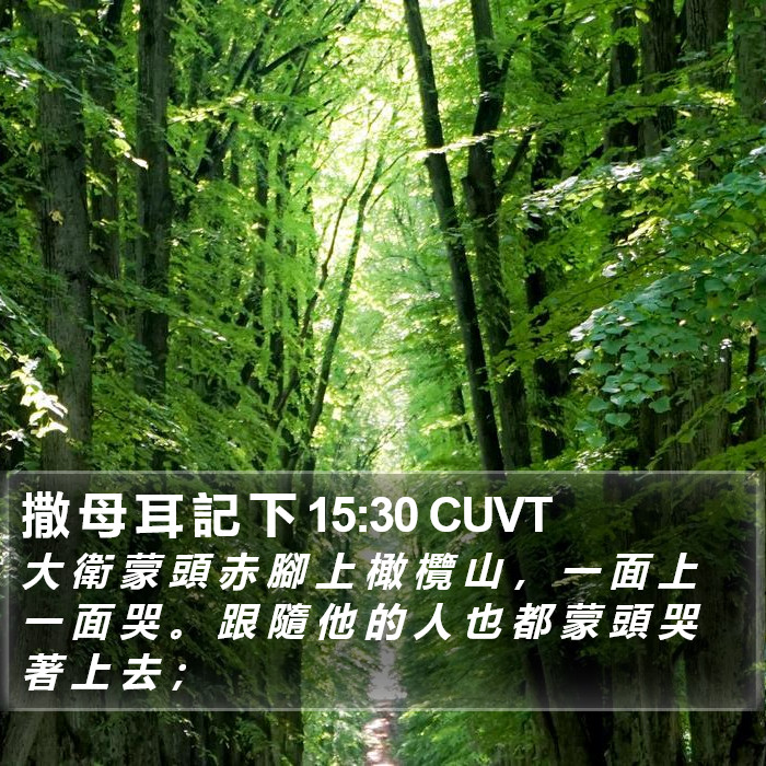 撒 母 耳 記 下 15:30 CUVT Bible Study