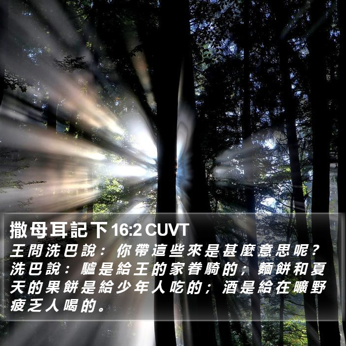 撒 母 耳 記 下 16:2 CUVT Bible Study