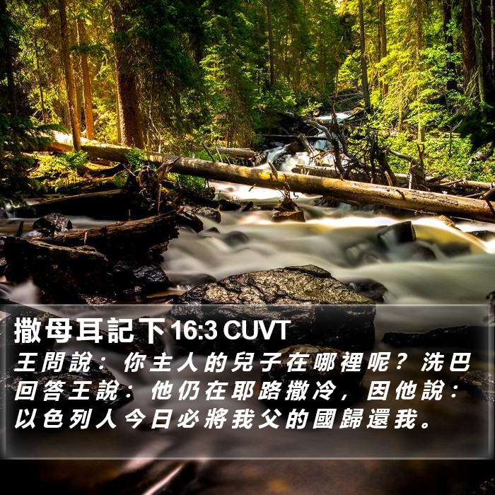 撒 母 耳 記 下 16:3 CUVT Bible Study