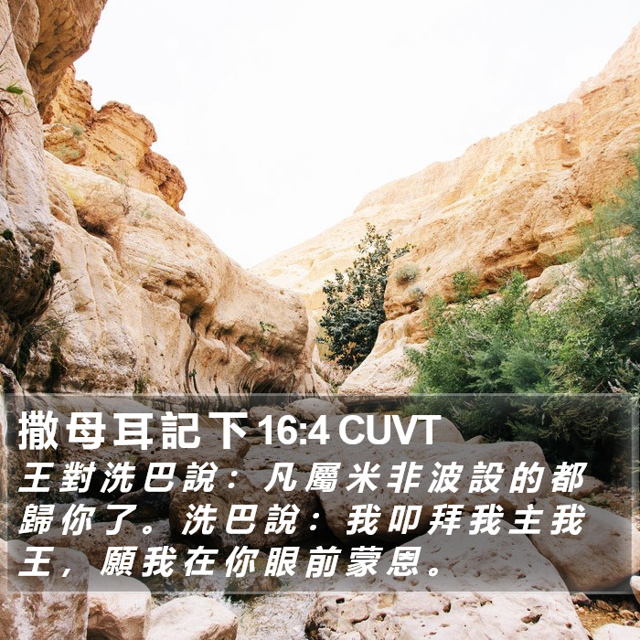 撒 母 耳 記 下 16:4 CUVT Bible Study