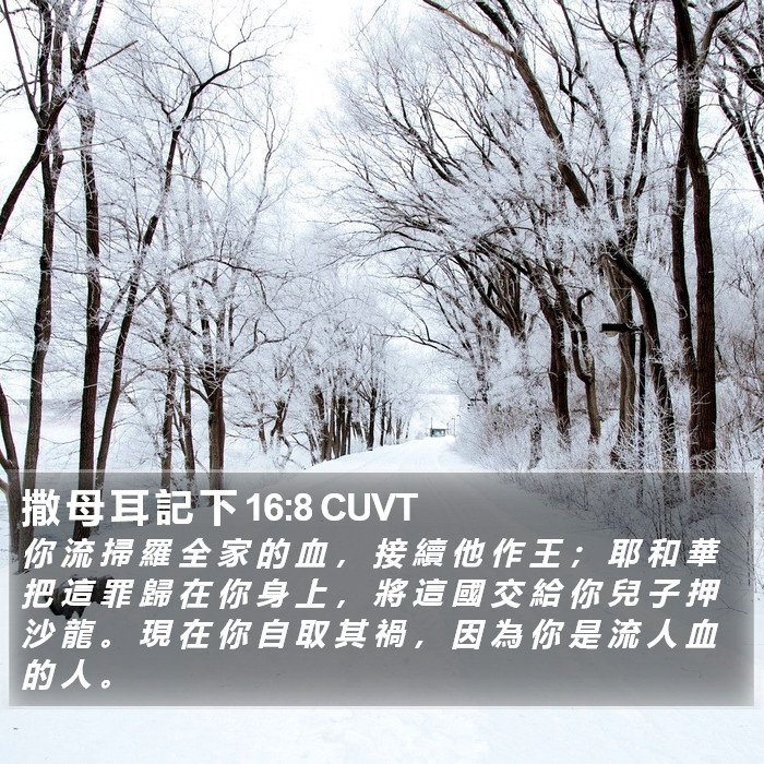 撒 母 耳 記 下 16:8 CUVT Bible Study