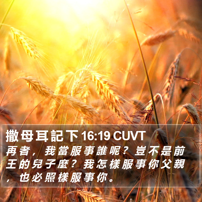 撒 母 耳 記 下 16:19 CUVT Bible Study