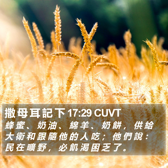 撒 母 耳 記 下 17:29 CUVT Bible Study