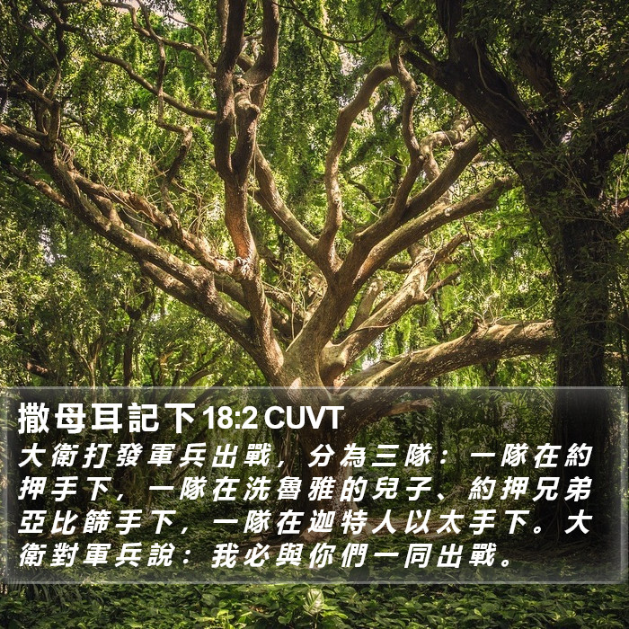 撒 母 耳 記 下 18:2 CUVT Bible Study