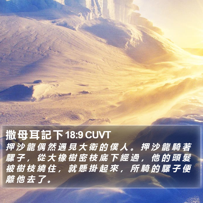 撒 母 耳 記 下 18:9 CUVT Bible Study