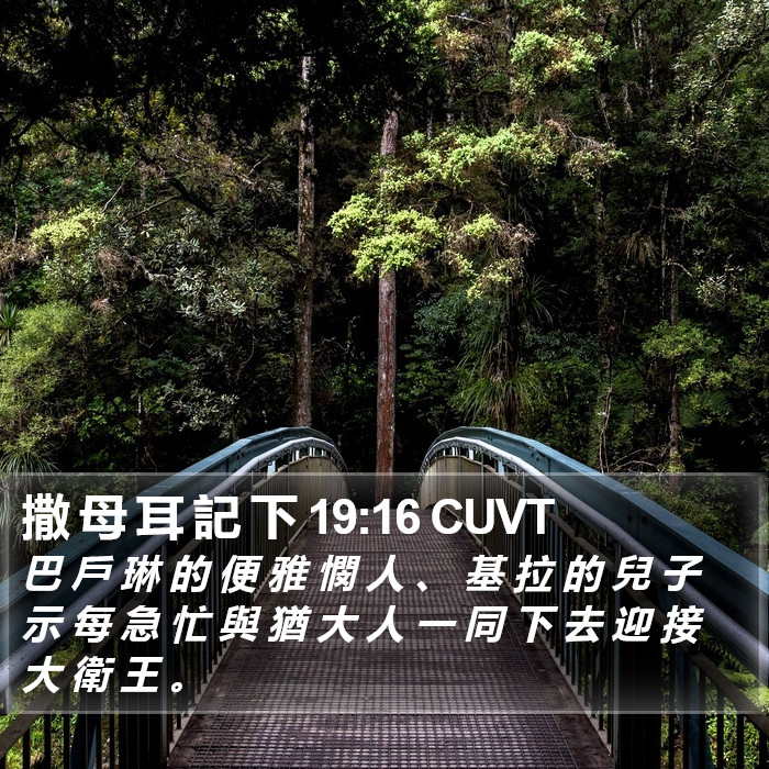 撒 母 耳 記 下 19:16 CUVT Bible Study