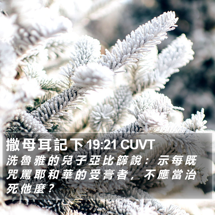 撒 母 耳 記 下 19:21 CUVT Bible Study