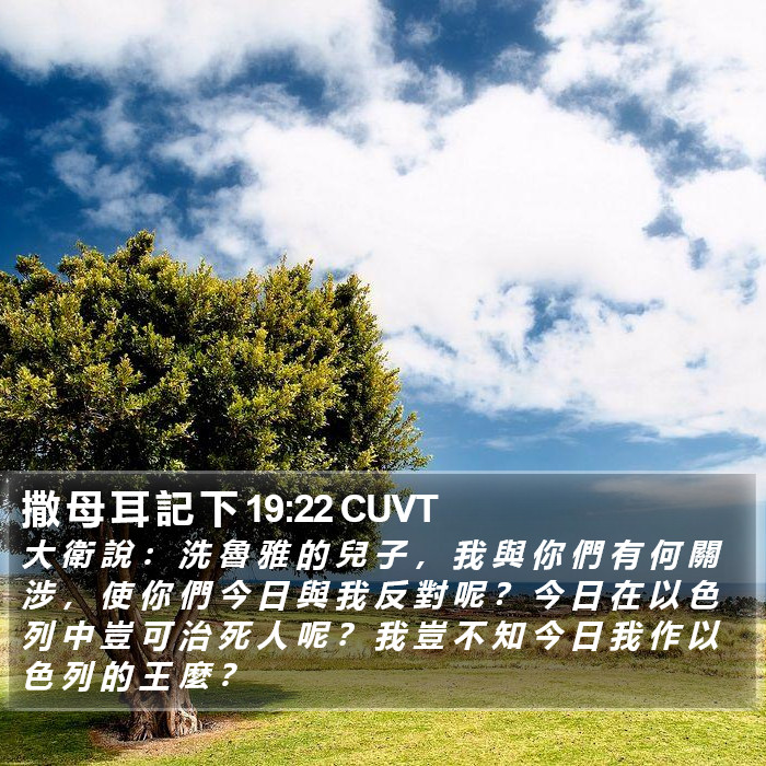 撒 母 耳 記 下 19:22 CUVT Bible Study