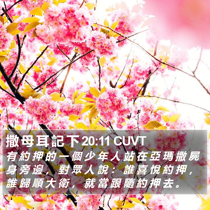 撒 母 耳 記 下 20:11 CUVT Bible Study