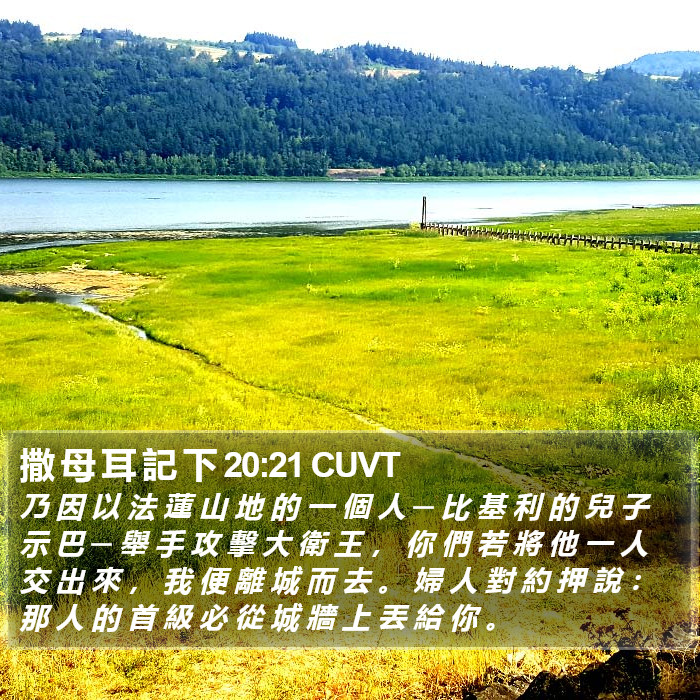 撒 母 耳 記 下 20:21 CUVT Bible Study