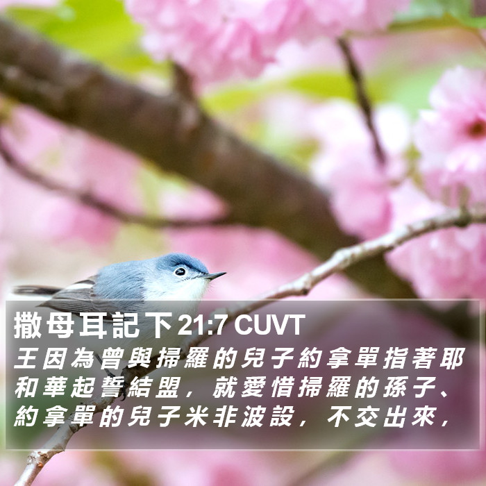 撒 母 耳 記 下 21:7 CUVT Bible Study