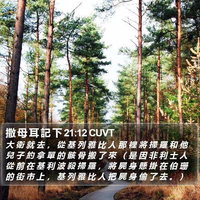 撒 母 耳 記 下 21:12 CUVT Bible Study