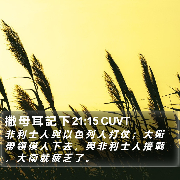 撒 母 耳 記 下 21:15 CUVT Bible Study