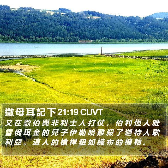 撒 母 耳 記 下 21:19 CUVT Bible Study