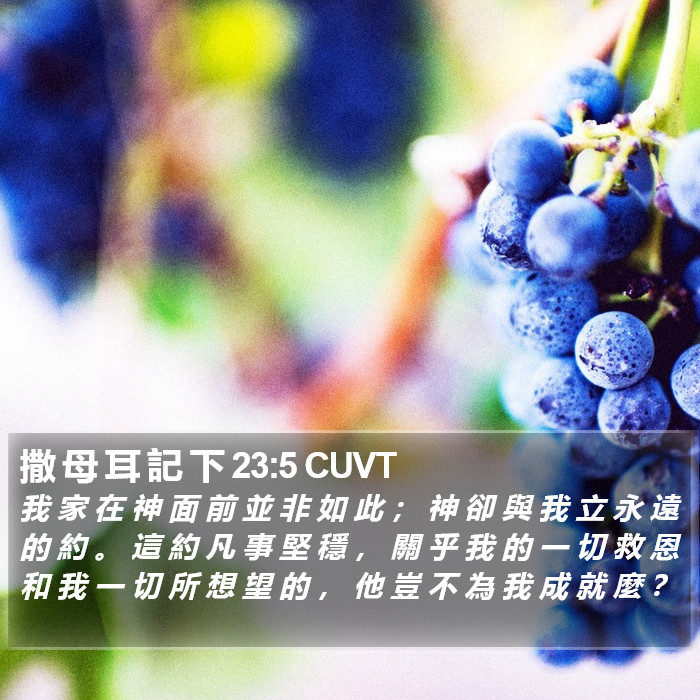 撒 母 耳 記 下 23:5 CUVT Bible Study