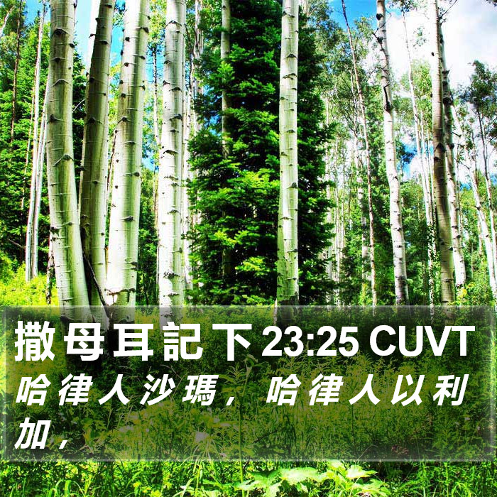 撒 母 耳 記 下 23:25 CUVT Bible Study