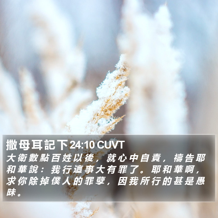 撒 母 耳 記 下 24:10 CUVT Bible Study