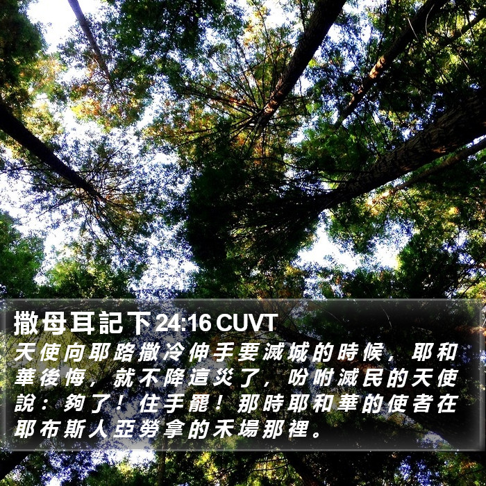 撒 母 耳 記 下 24:16 CUVT Bible Study