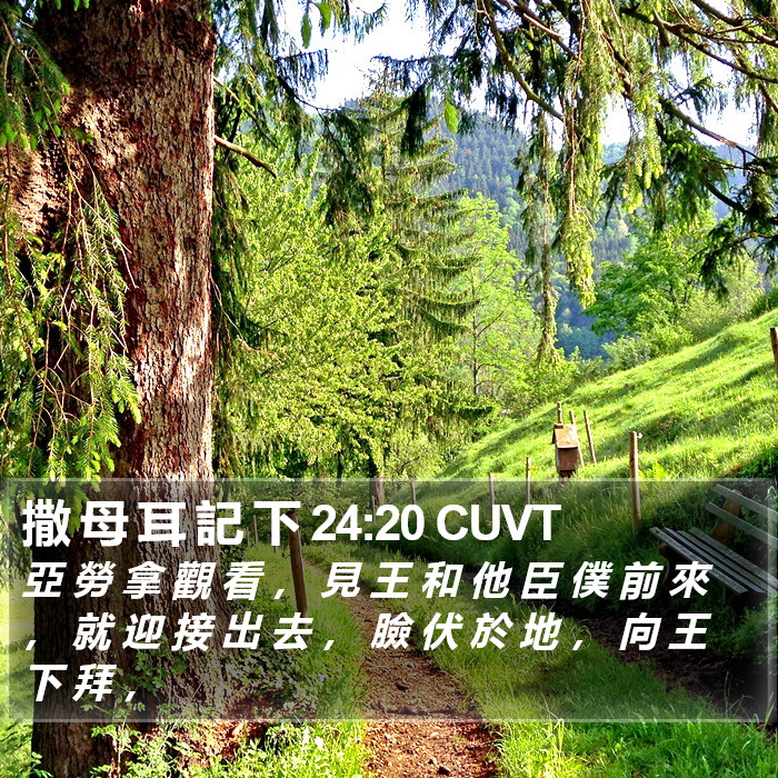 撒 母 耳 記 下 24:20 CUVT Bible Study