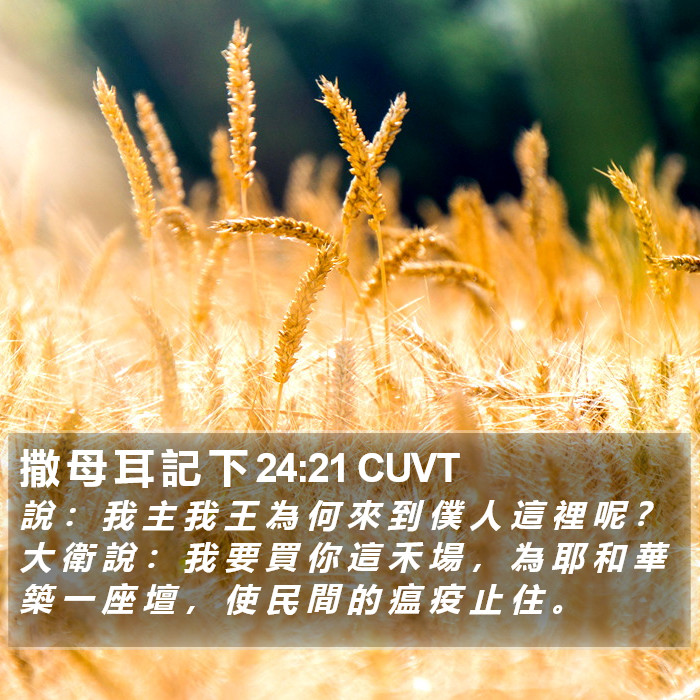 撒 母 耳 記 下 24:21 CUVT Bible Study