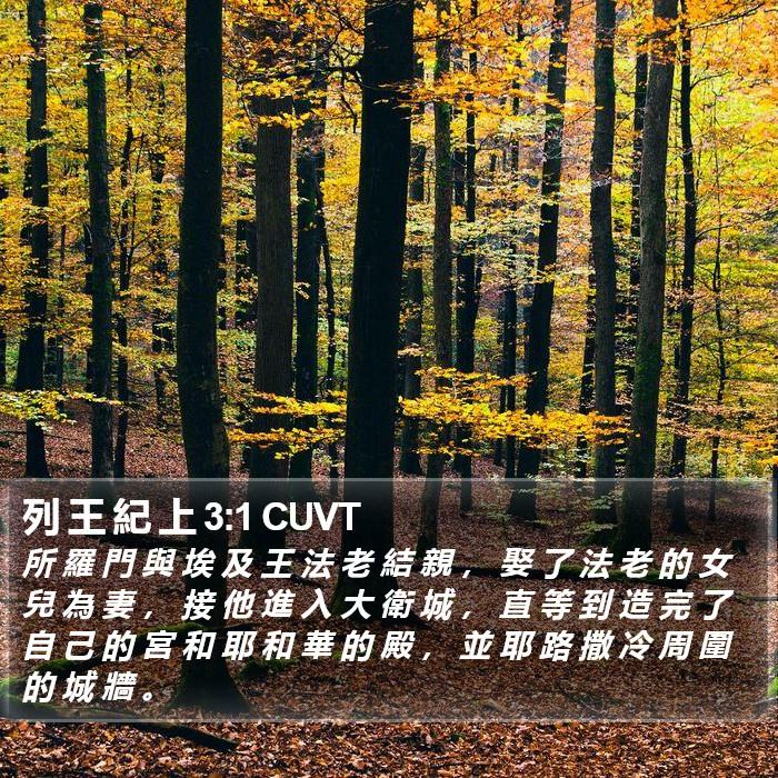 列 王 紀 上 3:1 CUVT Bible Study