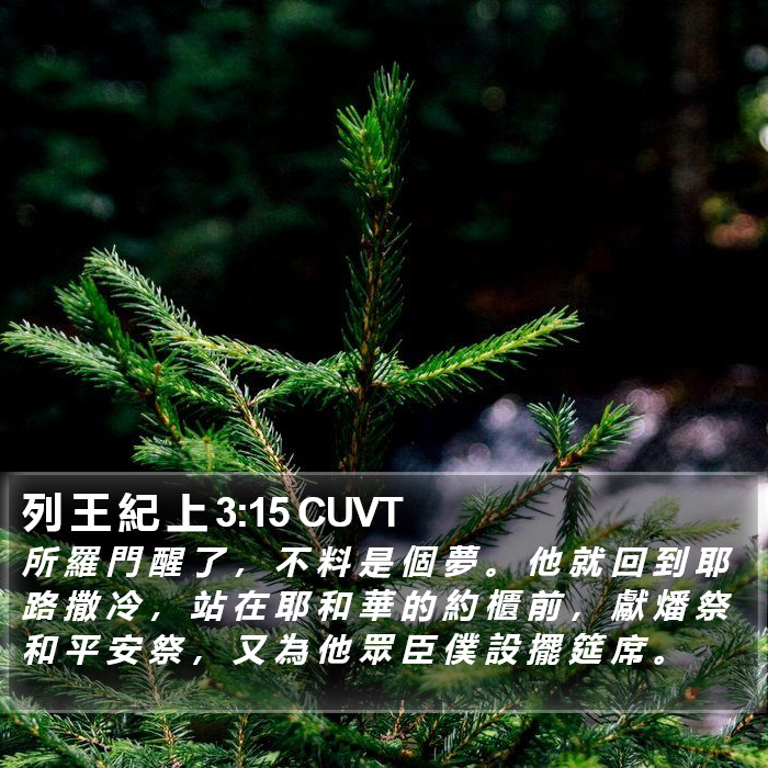 列 王 紀 上 3:15 CUVT Bible Study