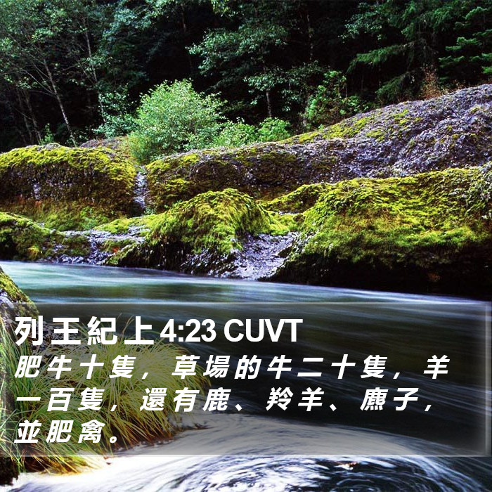 列 王 紀 上 4:23 CUVT Bible Study