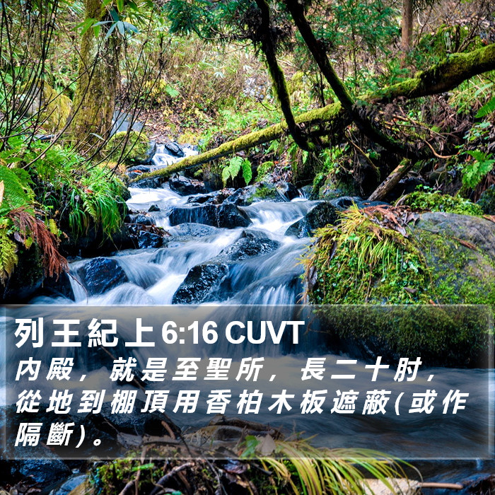 列 王 紀 上 6:16 CUVT Bible Study