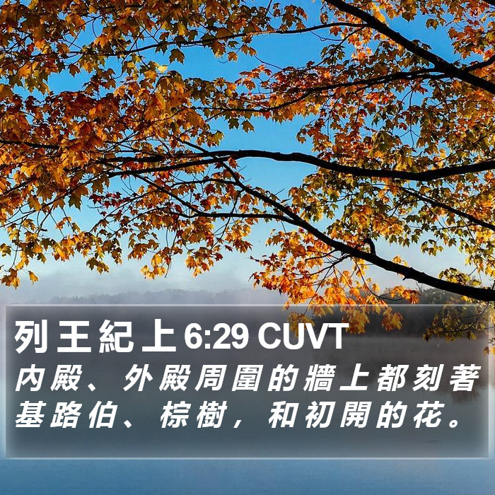 列 王 紀 上 6:29 CUVT Bible Study