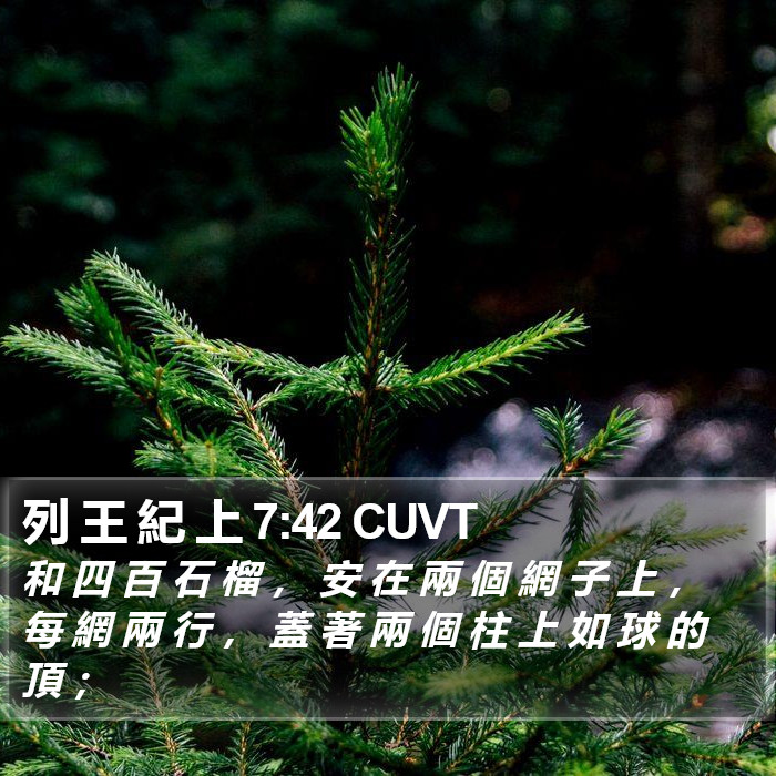 列 王 紀 上 7:42 CUVT Bible Study