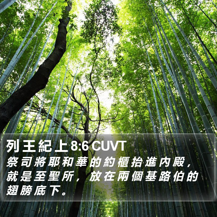 列 王 紀 上 8:6 CUVT Bible Study