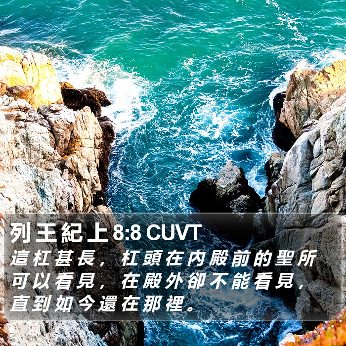 列 王 紀 上 8:8 CUVT Bible Study