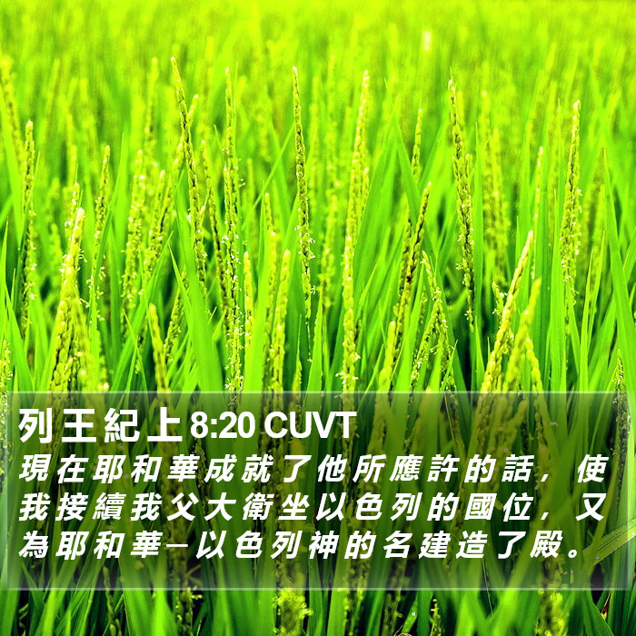 列 王 紀 上 8:20 CUVT Bible Study