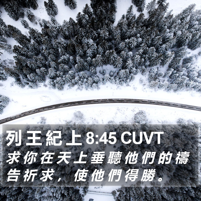 列 王 紀 上 8:45 CUVT Bible Study