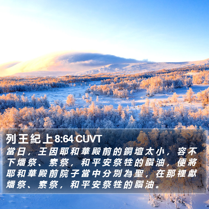 列 王 紀 上 8:64 CUVT Bible Study