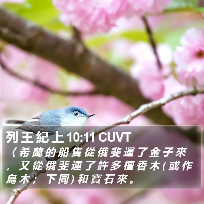 列 王 紀 上 10:11 CUVT Bible Study
