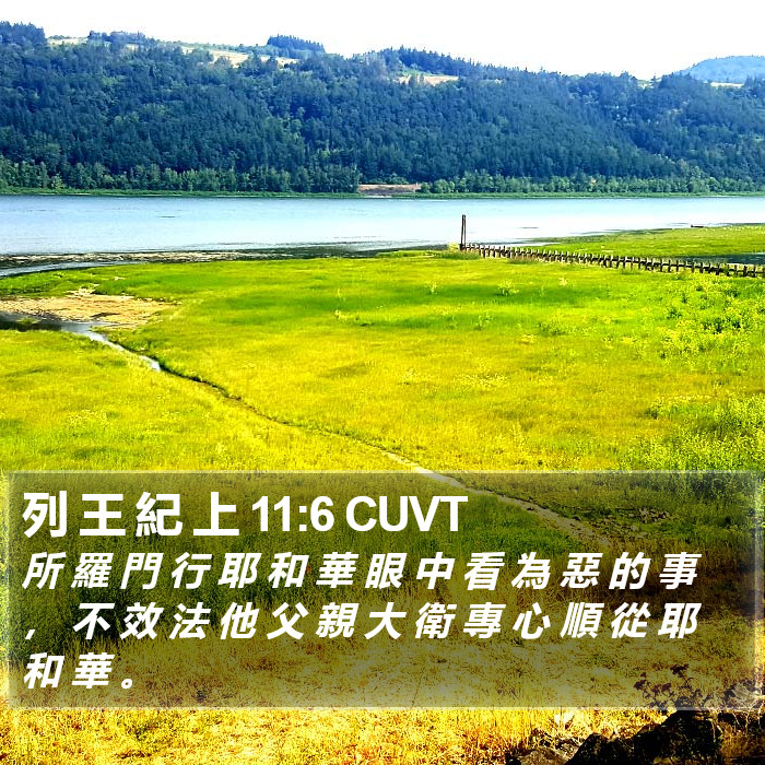 列 王 紀 上 11:6 CUVT Bible Study
